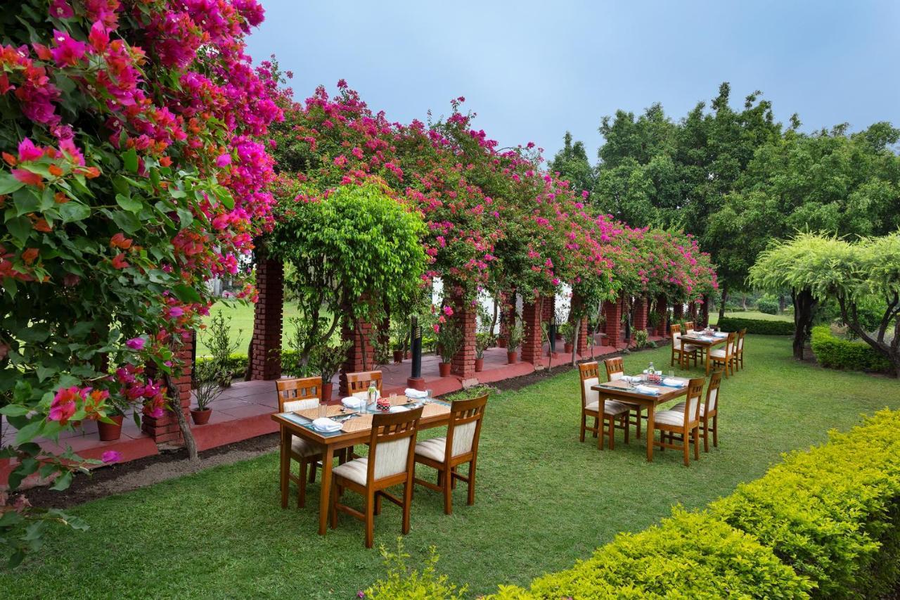 Naturoville Wellness Resort Rishikesh - Surrounded By Nature, Rooted In Wellness Doiwāla Exterior photo